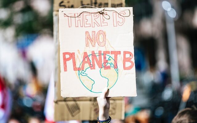 a cardboard sign saying there is no planet B